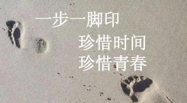 難紅百日，感受至深，一朝辭去又凌雲打一最准生肖，全面释义、统计解答解释落实