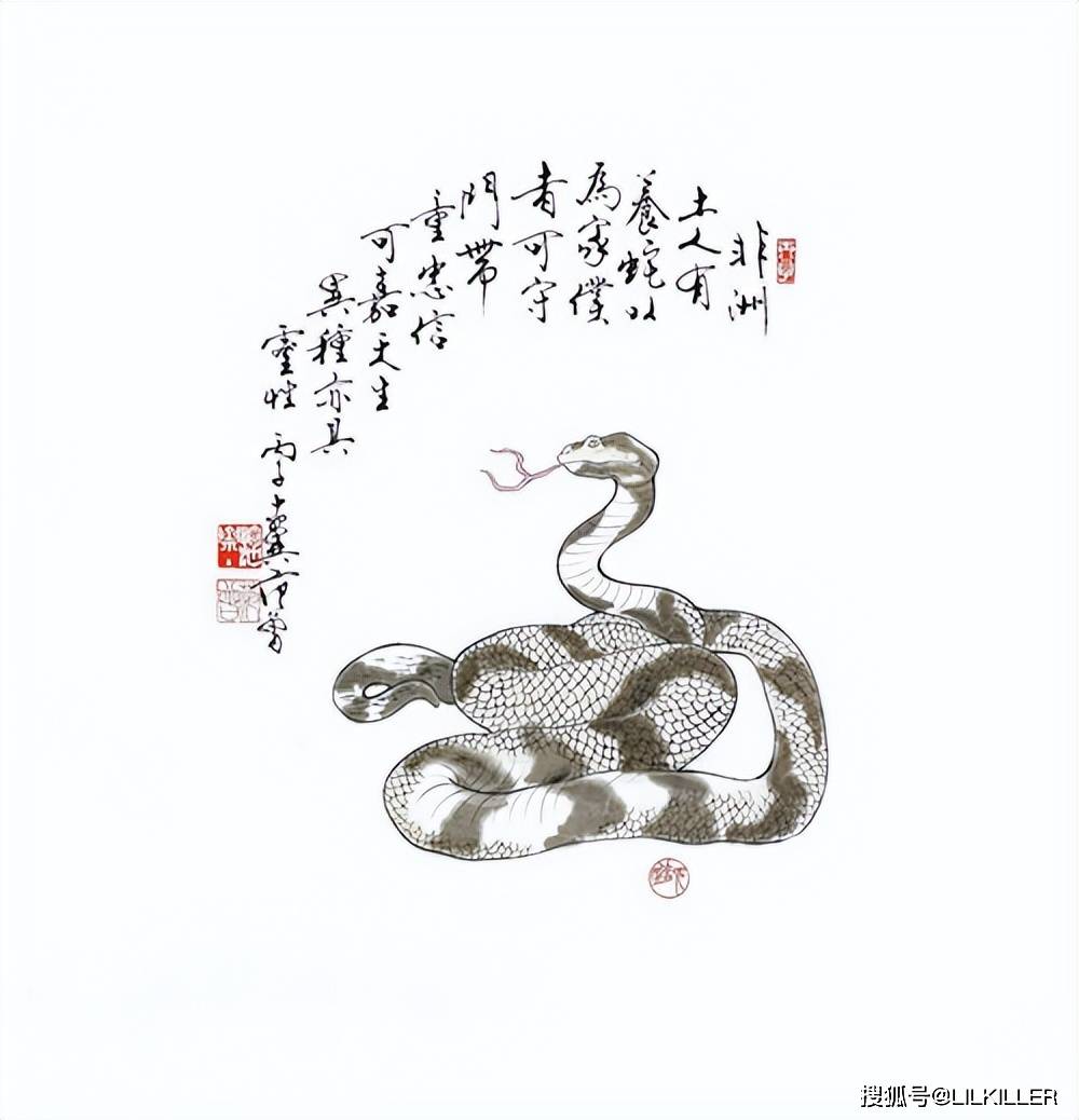 羊蛇今期来争特是什么生肖详细解答、解释与落实、专家解答解释落实