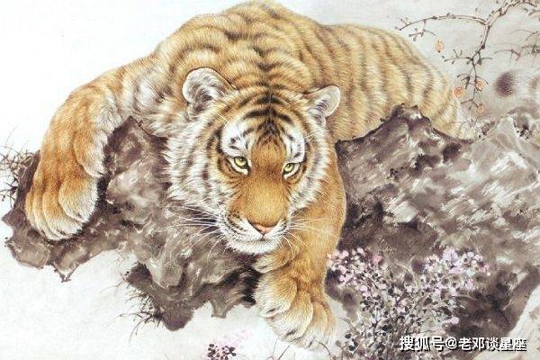 天大地大相扶持逢贵人指点笔颜开生肖请全面2释义、解释与落实、科学解答解释落实