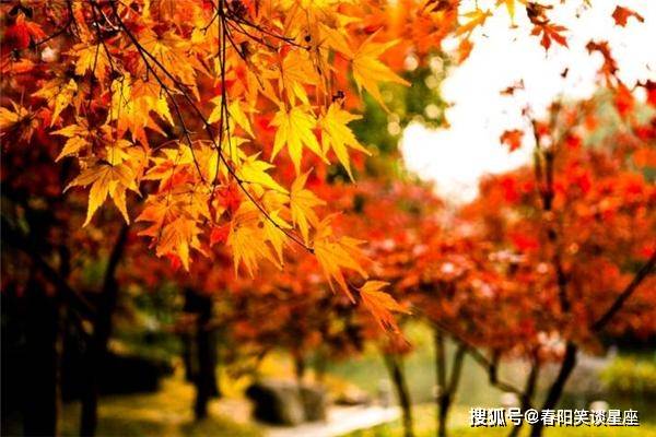 曾闻古德有深言，秋晚东林落木疏打一准确生肖、警惕虚假宣传-全面释义、统计解答解释落实
