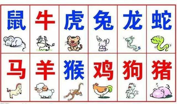 今期牛鸡虎出特，障目聊成矮木天打一准确生肖与警惕虚假宣传-全面释义、实证解答解释落实