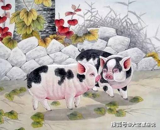 今期生肖二三开，一三全四中本期打一正确生肖的警惕虚假宣传-构建解答解释落实