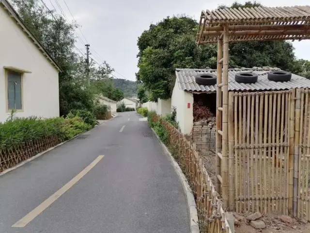 谢墅庾村相吊后打生肖,警惕虚假宣传落实,定量解答解释落实