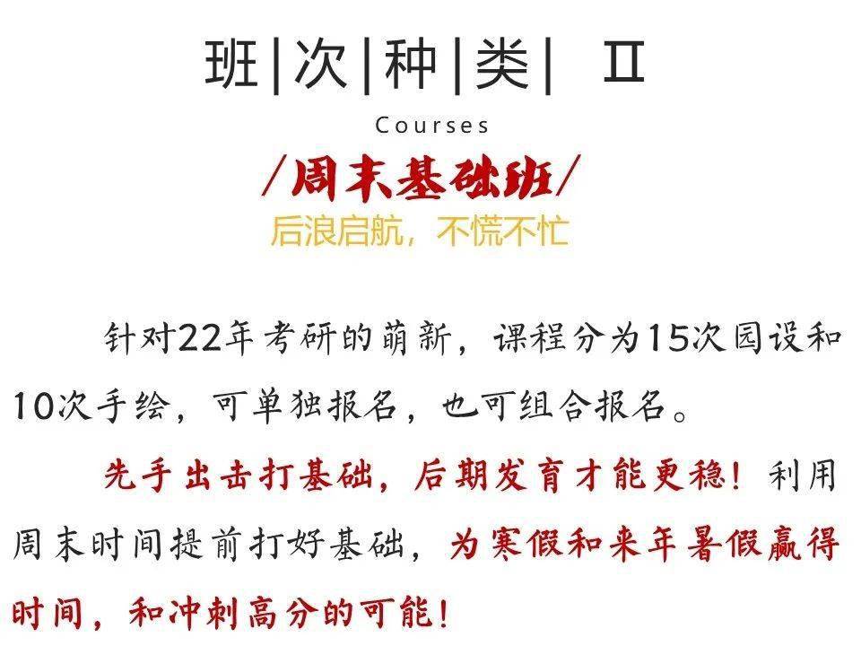 孤灯依旧打一最准生肖全面释义、深度解答解释落实