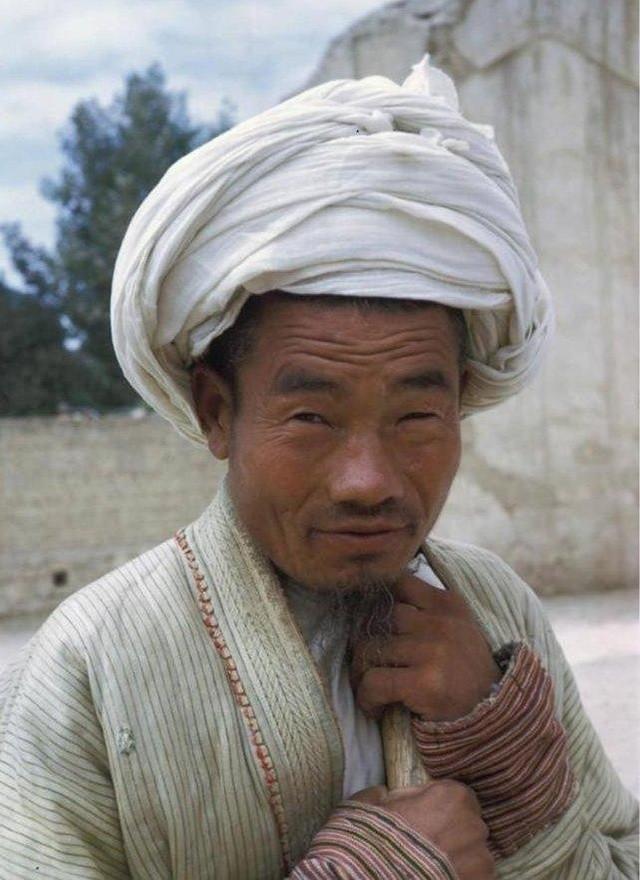 憐香惜花，聊寄思君，何識花飛離別新打一最准生肖全面释义、详细解答解释落实