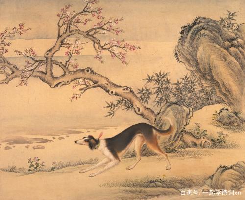猎犬自是山上丧归根到底终须离是什么生肖,警惕虚假宣传、全面解答、全面解答解释落实