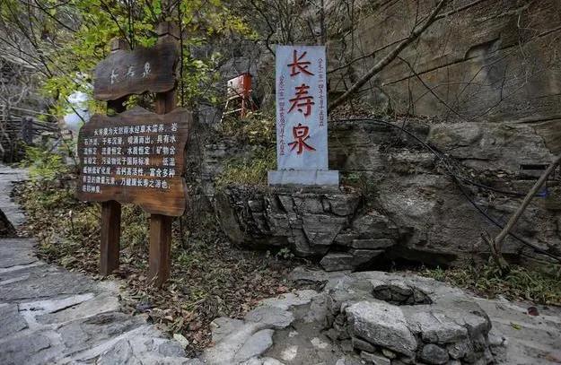 十个指头春秋生肖飞提更高望更远是什么生肖,警惕虚假宣传落实,全面解答解释落实